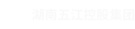 湖南尊龙凯时中国游控股集团有限公司